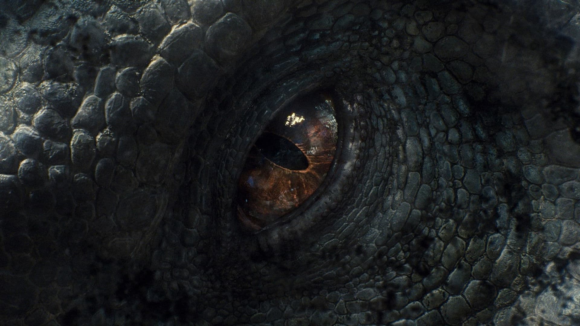 Jurassic World (2015) - color palette reference - frame 3