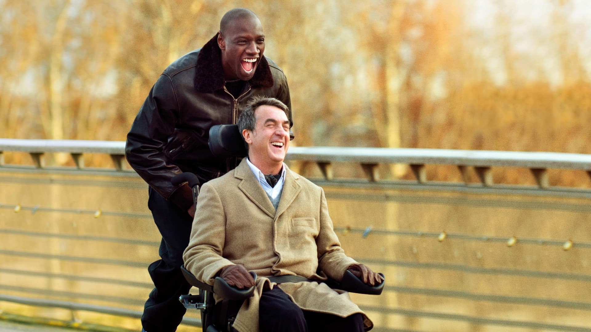 The Intouchables (2011) - cinematography analysis cover