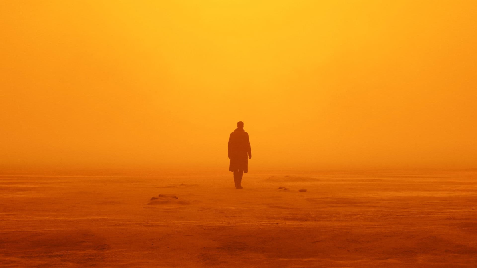 Blade Runner 2049 (2017) - color palette reference - frame 3
