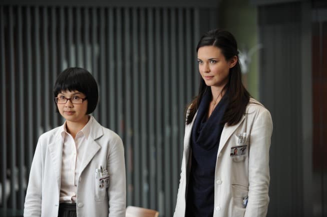 House (2004) - color palette reference - frame 3