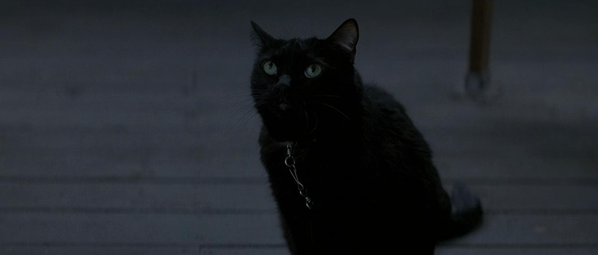 The Prestige (2006) - aesthetic film composition - frame 2