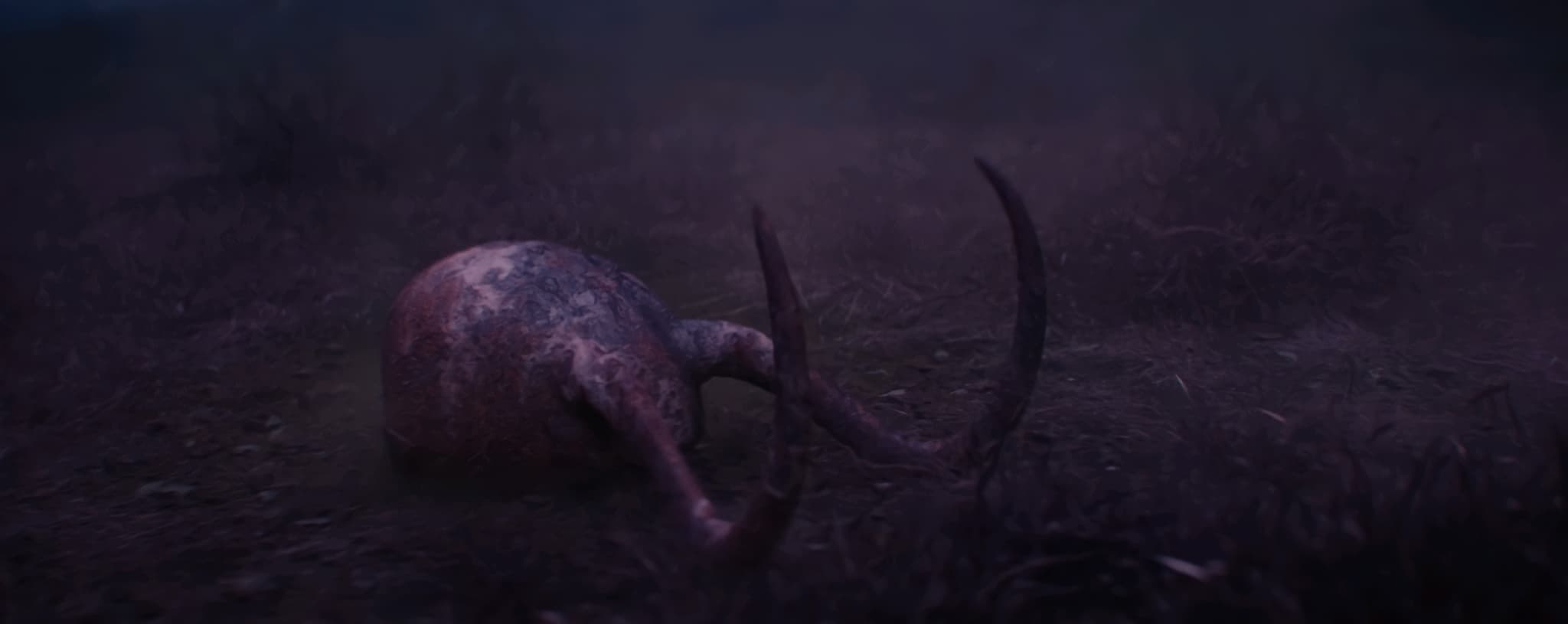 Loki (2021) - color palette reference - frame 3