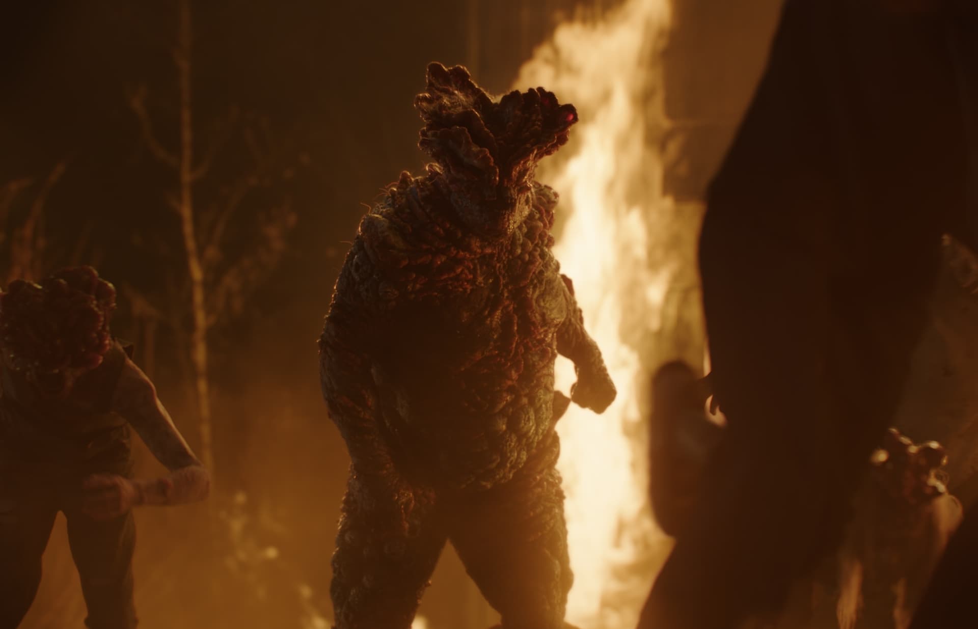 The Last of Us (2023) - color palette reference - frame 3