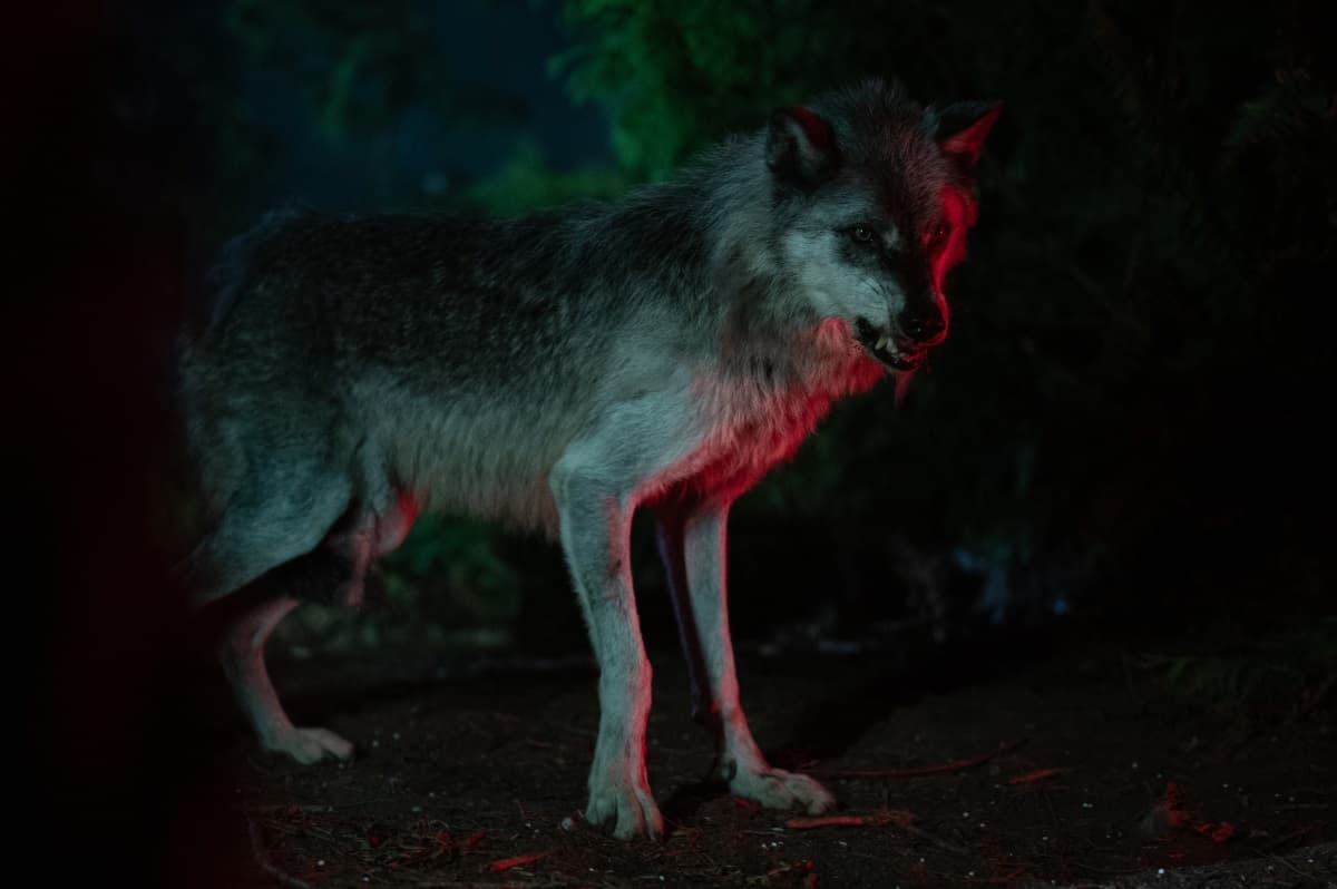 Yellowjackets (2021) - movie still frame - frame 1