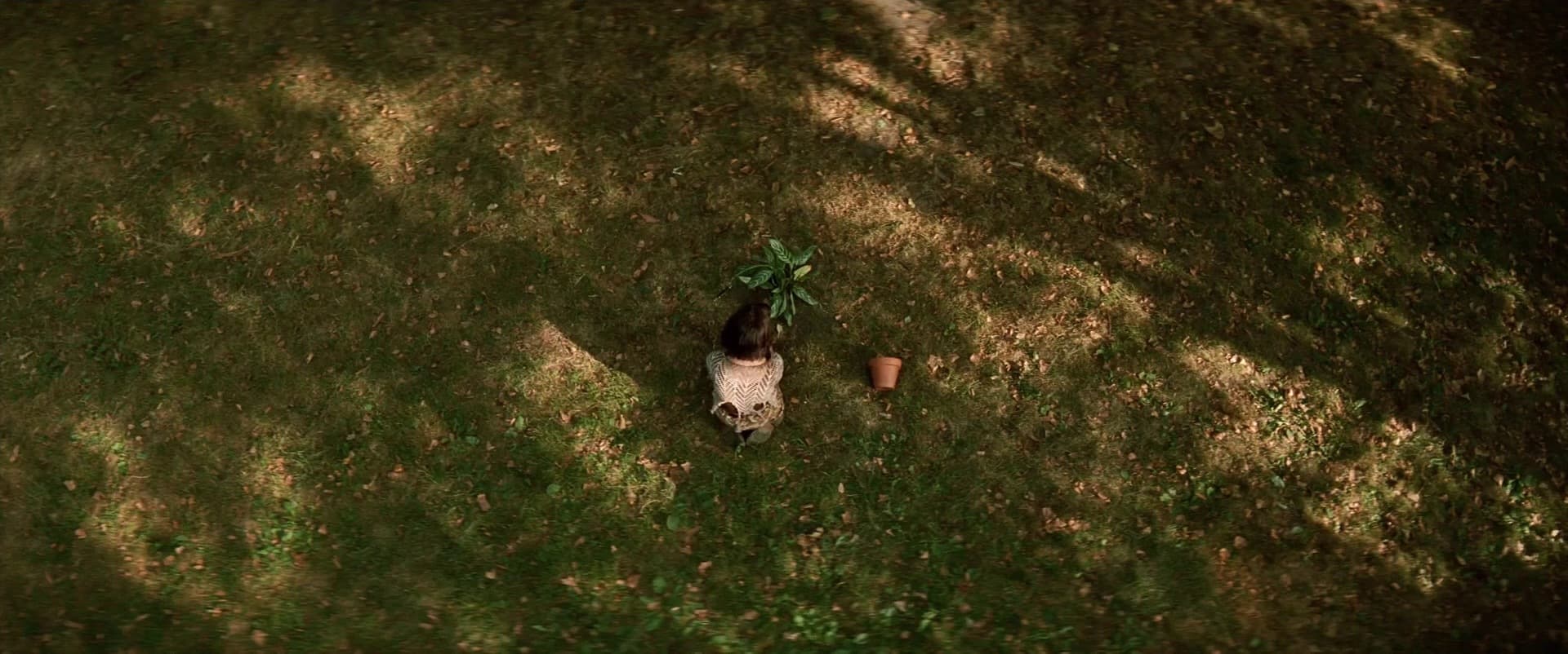 Léon: The Professional (1994) - visual quiz clue - frame 5