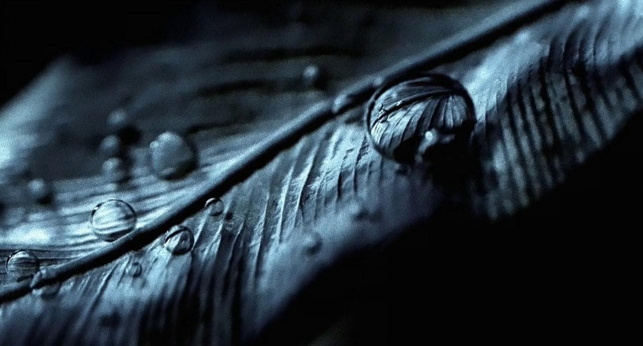 City of God (2002) - movie still frame - frame 1